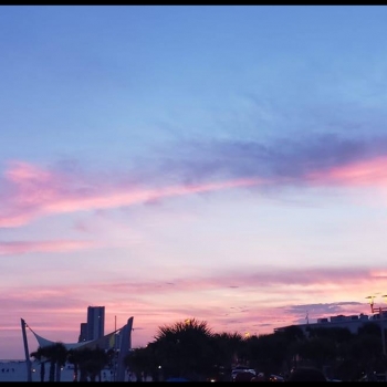 <p>Take a gander and the beautiful sunsets and beaches from the Pink Pony Pub's point of view. </p>